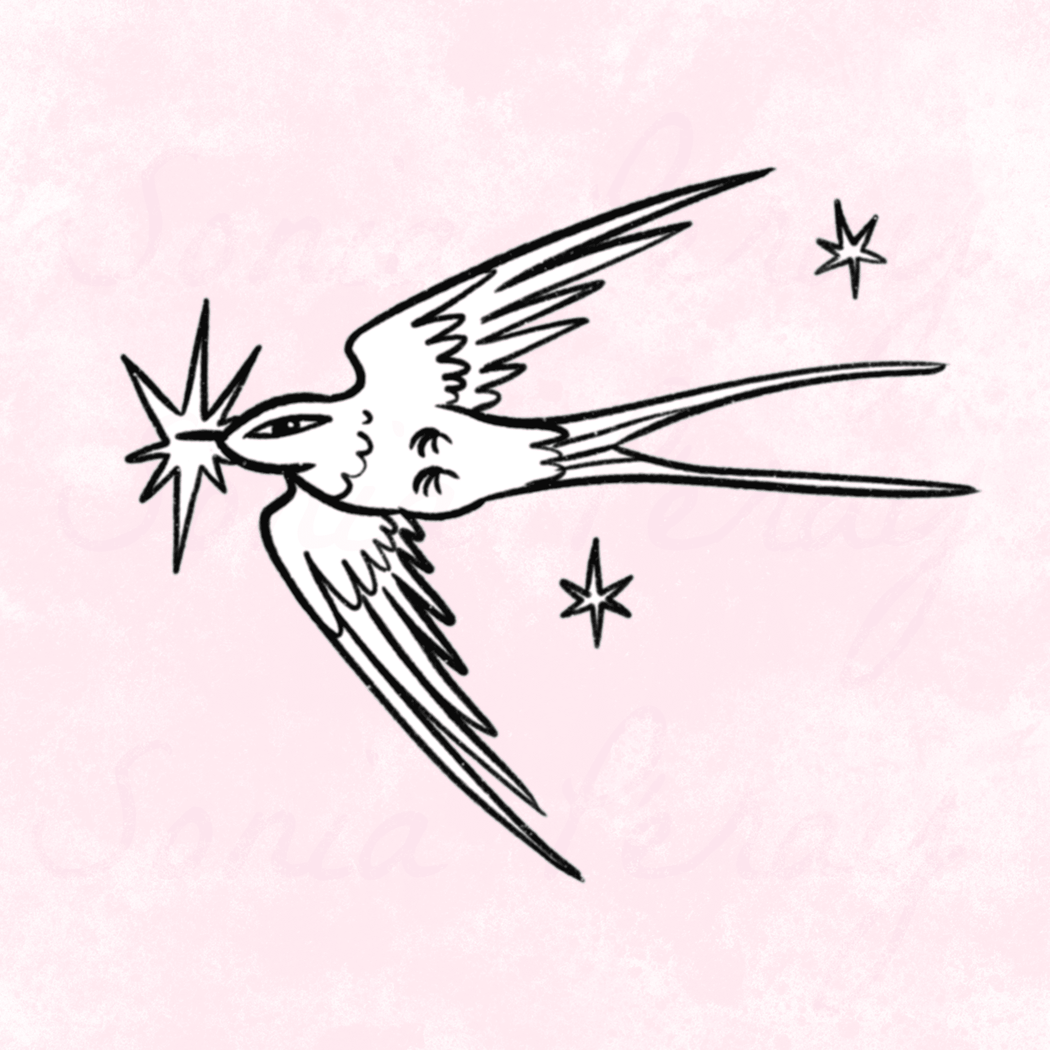 Flash tattoo d'une hirondelle et étoiles